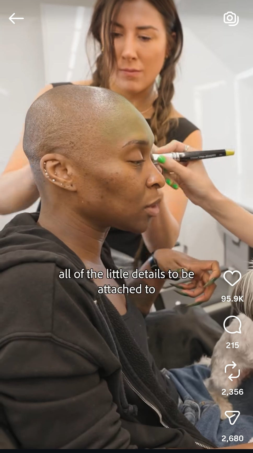 The Defy Gravity Brush Set – Used to Create Wicked’s Iconic Elphaba Look