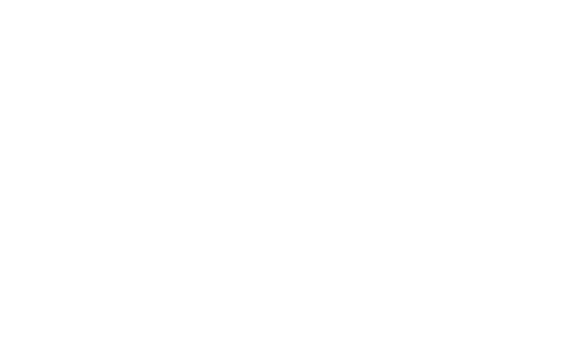 Brush Cleaner Titanic Brush Co brush-cleaner-titanic-brush-co